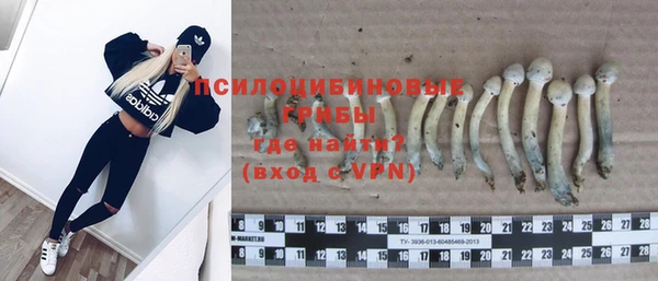 ГАЛЛЮЦИНОГЕННЫЕ ГРИБЫ Балабаново