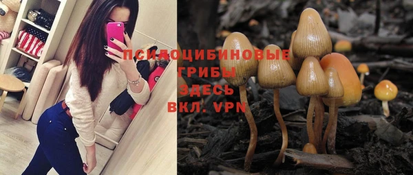 тгк Балахна