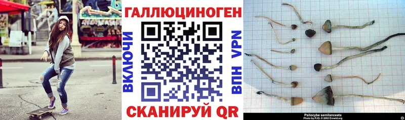 это какой сайт  купить наркотики цена  Электроугли  Псилоцибиновые грибы Psilocybine cubensis 