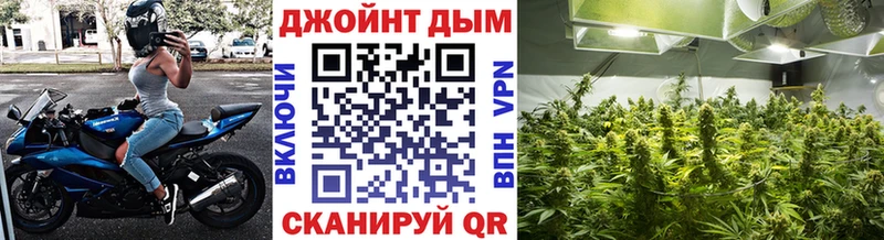 Конопля планчик  Электроугли 